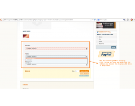 Magento (OpenMage) Chained Custom Option Template