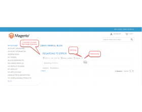Blog Manager For Magento (OpenMage)