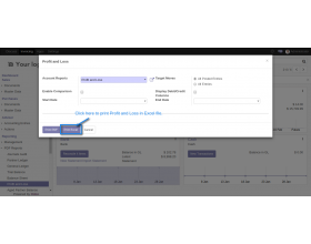 Odoo Accounting Excel Reports