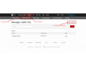 Odoo Twilio SMS Gateway
