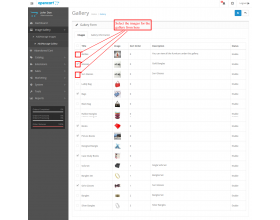 Opencart Image Gallery