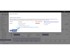 Odoo Accounting Excel Reports