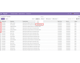 Odoo Print Payslip Excel Report