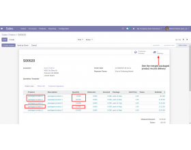 Odoo Merge Similar Packaging Product