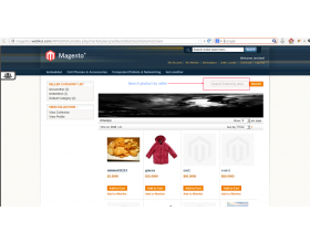 Magento (OpenMage) Marketplace Seller Product Search