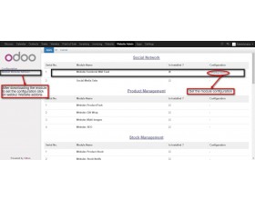 Odoo Website Social Wall Feed