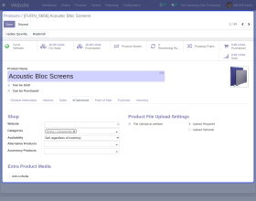 Odoo Website Product Files Upload