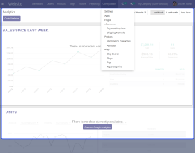 Odoo Website Blog Search