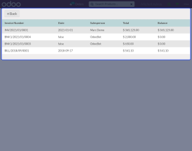 Odoo POS Invoice Details