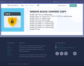 Odoo Website Stop/Block Content Copy