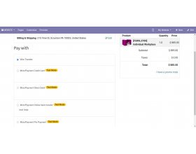 Odoo Website Micropayment Gateway Integration