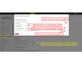 Odoo Website Newsletter