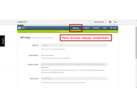 Odoo Website Wepay Payment Acquirer