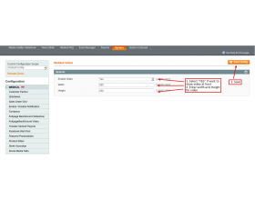 Magento (OpenMage) Image Video Switcher
