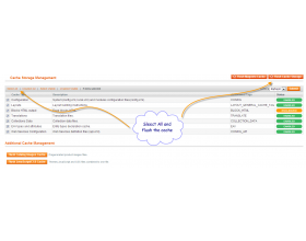 Magento Marketplace Custom Option