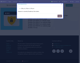 Odoo Website Stop/Block Content Copy
