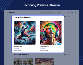 Bagisto Marketplace Live stream