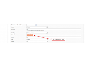 Magento (OpenMage) Image Video Switcher