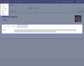 Odoo User Menu Restrictions