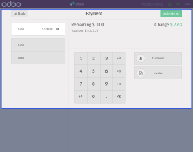Odoo POS Items Count