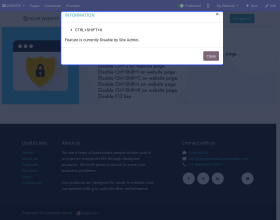 Odoo Website Stop/Block Content Copy