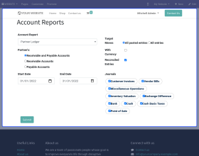 Odoo Accounting Web Report
