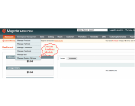 Magento Marketplace Custom Attribute