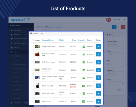 Opencart Video Player