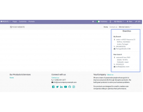Odoo Multi Branch Website