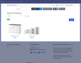 Odoo Website Advance Search