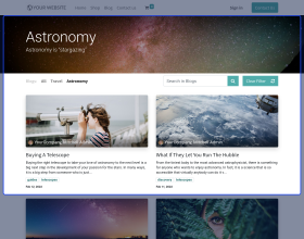 Odoo Website Blog Search