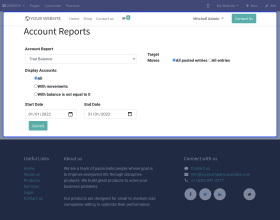 Odoo Accounting Web Report