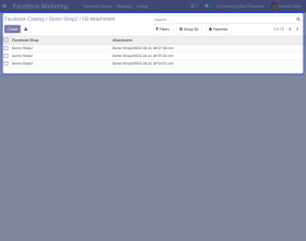 Odoo Marketplace Facebook Catalog Integration