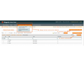 Magento (OpenMage) Chained Custom Option Template