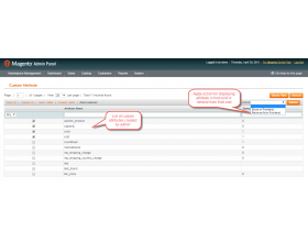 Magento Marketplace Custom Attribute
