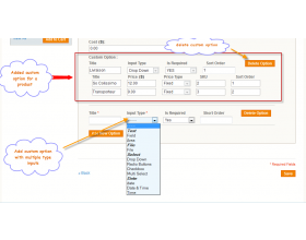 Magento Marketplace Custom Option