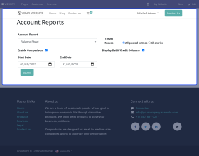Odoo Accounting Web Report