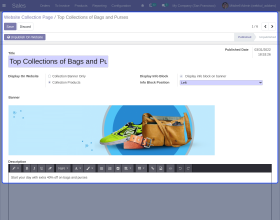Odoo Website Collection Page
