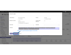 Odoo Accounting Excel Reports