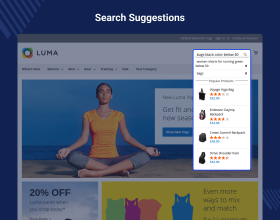 Magento 2 Semantic Search