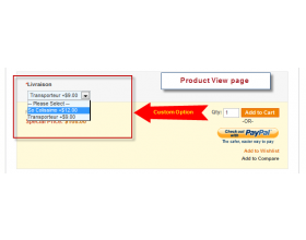 Magento Marketplace Custom Option