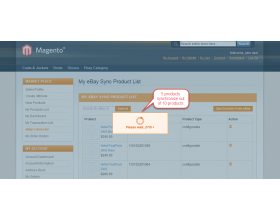 Magento (OpenMage) Marketplace eBay Connector