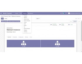 Odoo Multichannel Walmart Connector