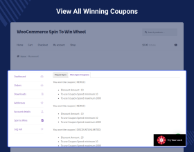 WooCommerce Spin to Win