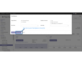 Odoo Accounting Excel Reports
