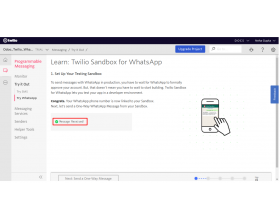 Odoo Twilio Whatsapp Integration