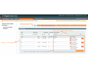Magento (OpenMage) Chained Custom Option Template