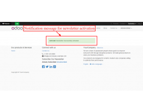 Odoo Website Newsletter