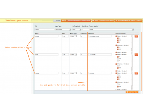 Magento (OpenMage) Chained Custom Option Template