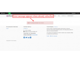 Odoo Website Newsletter